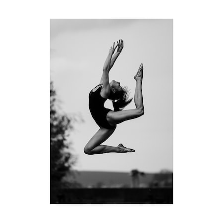 Martin Krystynek Qep 'Acrobatic Dance' Canvas Art,22x32